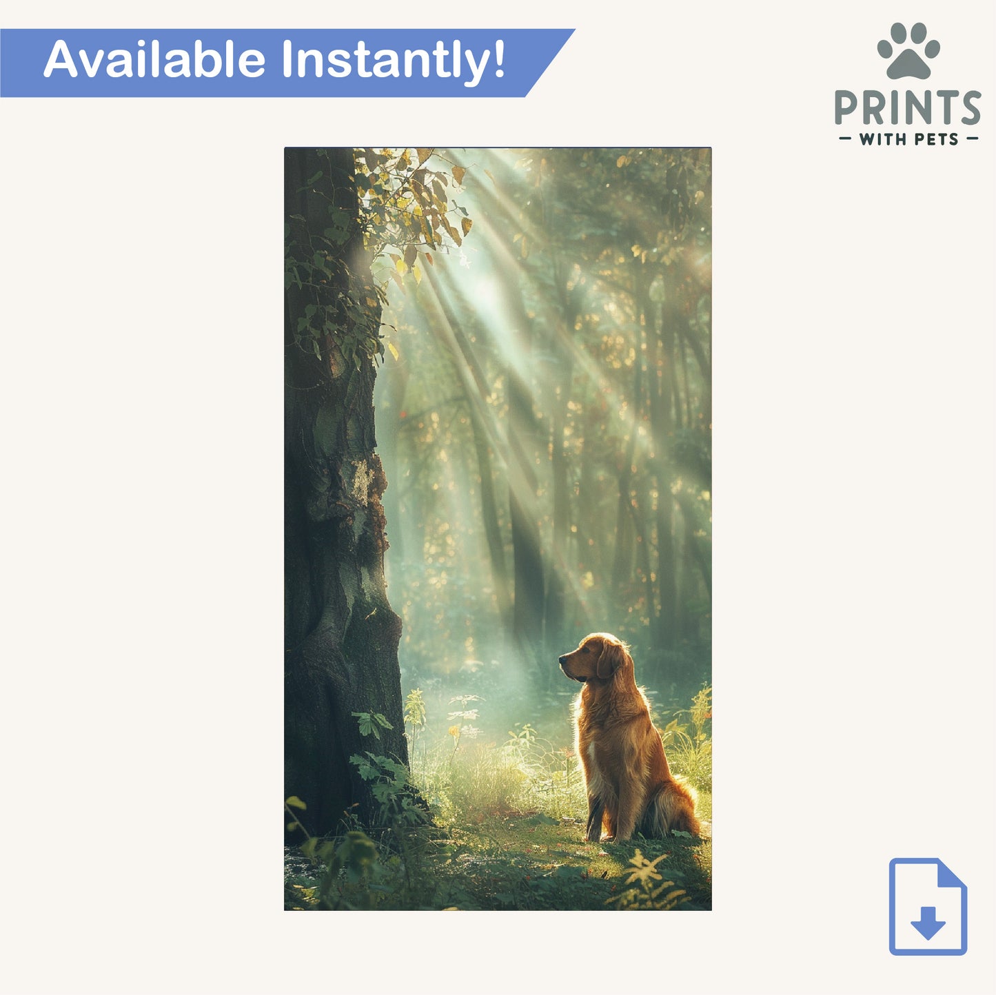 Golden Labrador in a Sunlit Forest - Golden Labrador Wallpaper