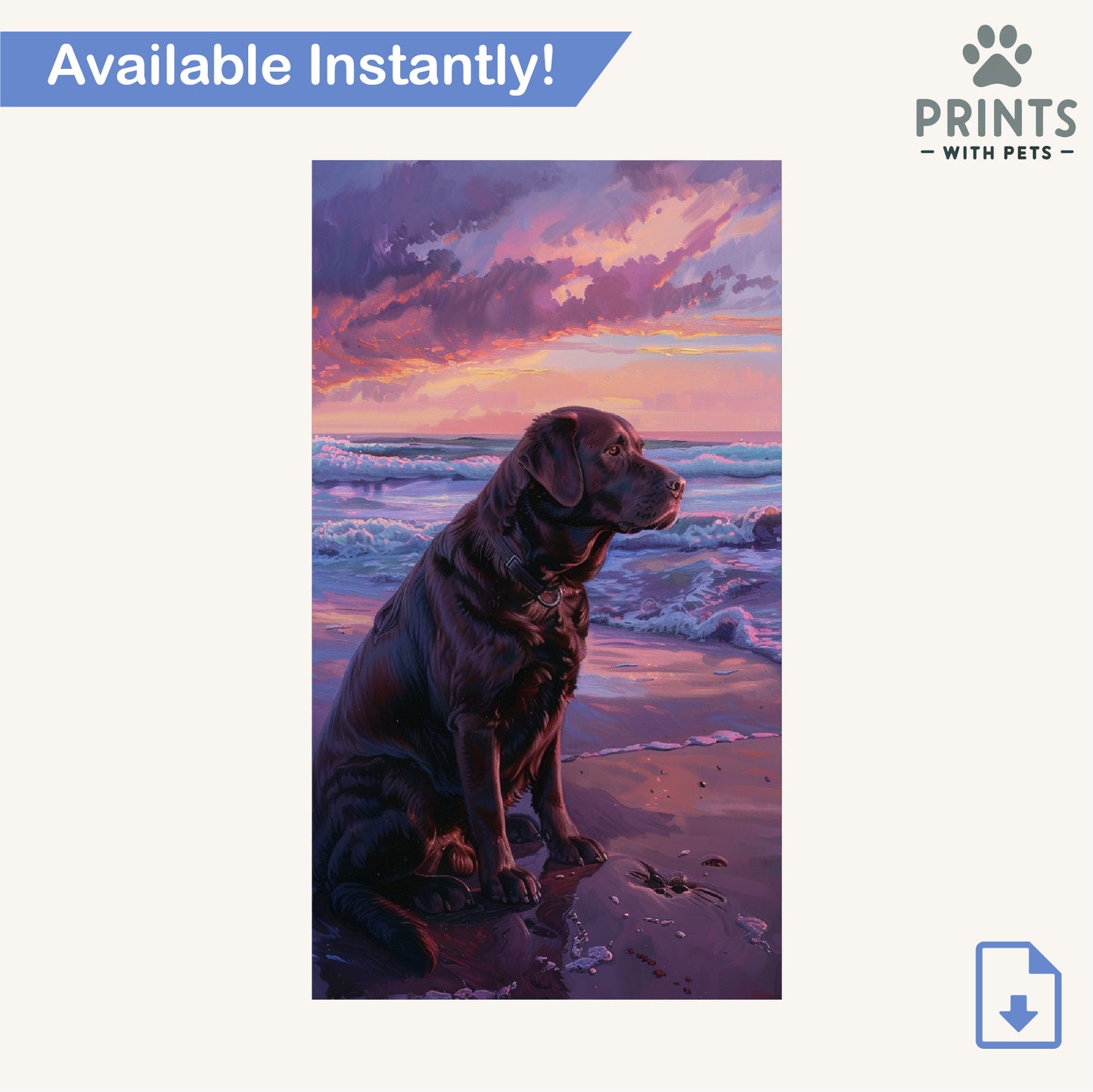 Chocolate Labrador on the Beach at Sunset - Chocolate Labrador Wallpaper