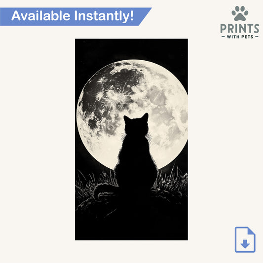 Moonlit Cat Silhouette - Black Cat Wallpaper